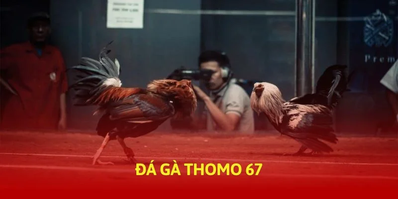 tructiep-daga-da-ga-thomo-67-thumb