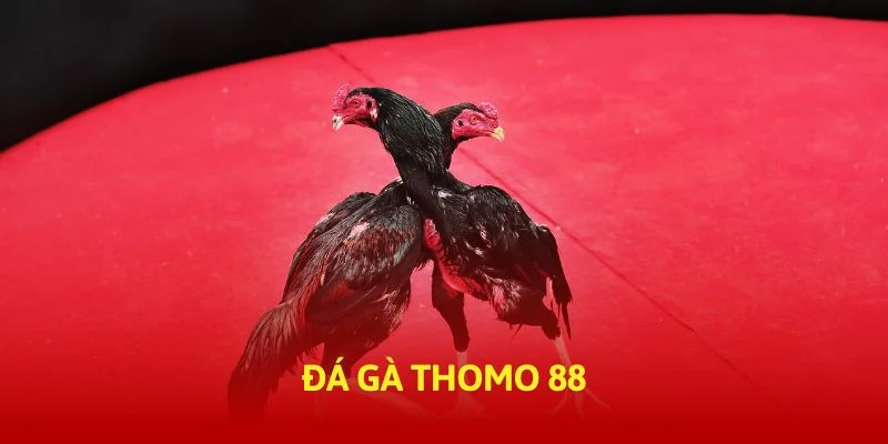 tructiep-daga-da-ga-thomo-88-banner-img