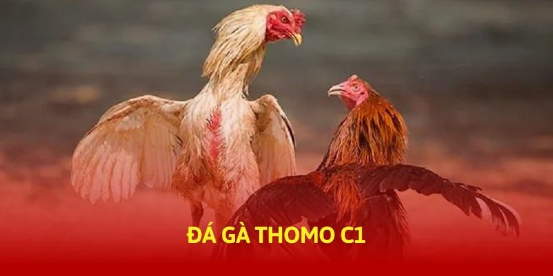 tructiep-daga-da-ga-thomo-c1-banner-img