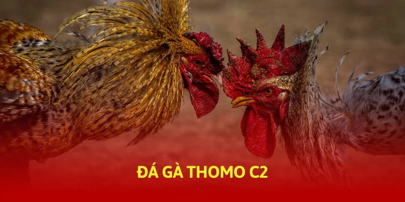 tructiep-daga-da-ga-thomo-c2-thumb