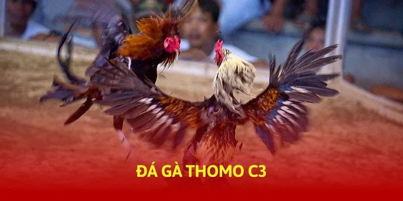 tructiep-daga-da-ga-thomo-c3-banner-img