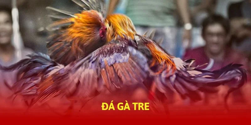 tructiep-daga-da-ga-tre-banner-img