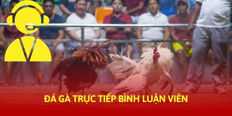 tructiep-daga-da-ga-truc-tiep-binh-luan-vien-thumb