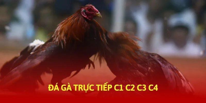 tructiep-daga-da-ga-truc-tiep-c1-c2-c3-c4-banner-img